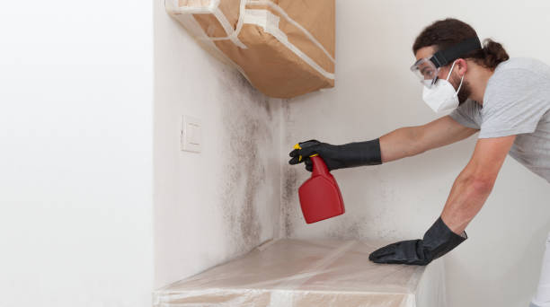 Professional Crawl Space Mold Remediation technician working in Preston, TX