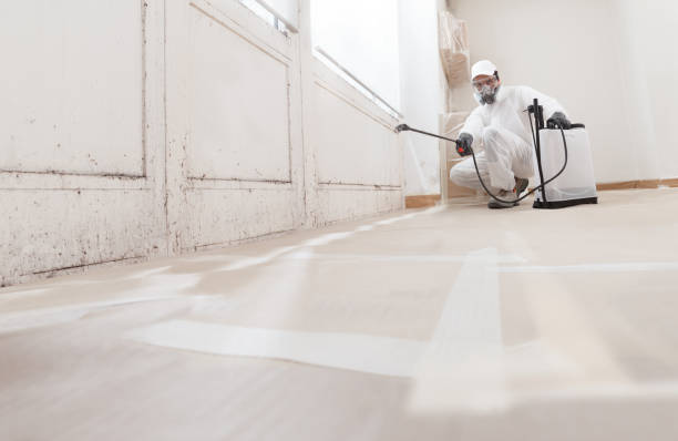 24/7 Emergency Crawl Space Mold Remediation experts in Preston, TX