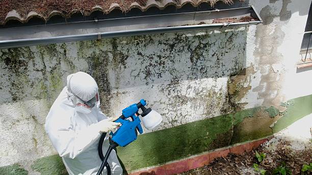 Top rated local Crawl Space Mold Remediation specialists in Preston, TX